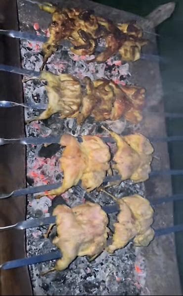 soba odun: Məhsul: Bildirçin – təmizlənmiş karkas Təsvir: - Ferma şəraitində — 2