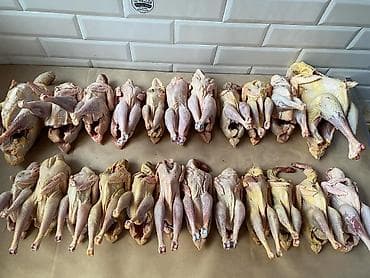 et xengeli: Kənd çolpası çəkiləri 1 kilodan yuxarıdı bakıya çattırılma var 050 325 — 3