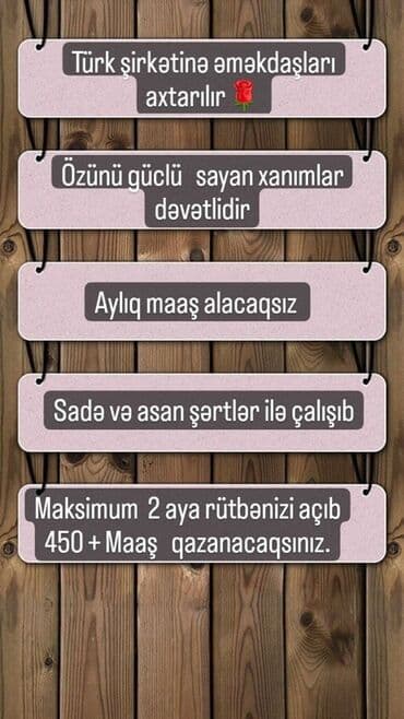 Охрана, безопасность: Bütün xanımlar yeni biznes layihəsi ilə onlayn şəkildə rəsmi — 2