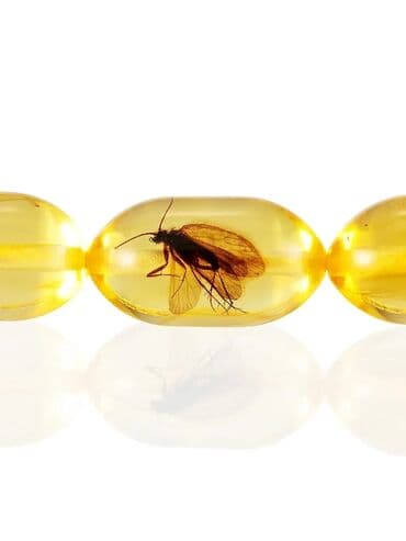 ebonit tesbeh: Endirim!!! Dünyanın 1 nömrəsi, Kalininqrad kəhrəbası! Fabrik — 32