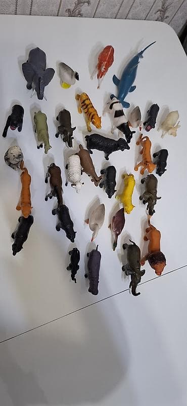 Ev Heyvanları 31 ededi şəkildə nə görürsüzə hamsı verilecek sağlam