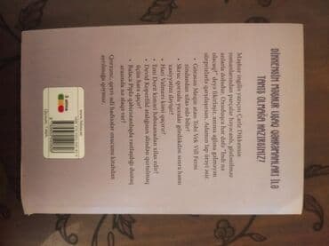 математика 8 класс e derslik: Carly Dudleynin "Viktoriya dövrü uşaqları" romanı. Bu roman, Viktoriya — 2