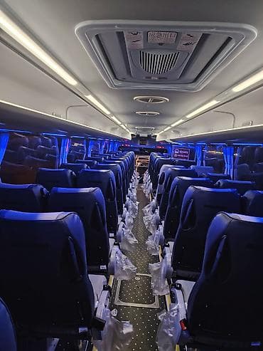 30 manata masaj: Avtobus — 3