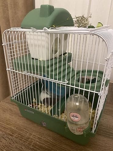 Heyvanlar üçün mallar: 2 hamster 2 yuva satilir hamsterlerin biri boz biri ağ remgdedir — 1