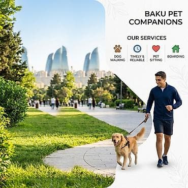 it gezdirme: Baku Pet Companions – ev heyvanları üçün peşəkar qayğı və gəzinti — 1