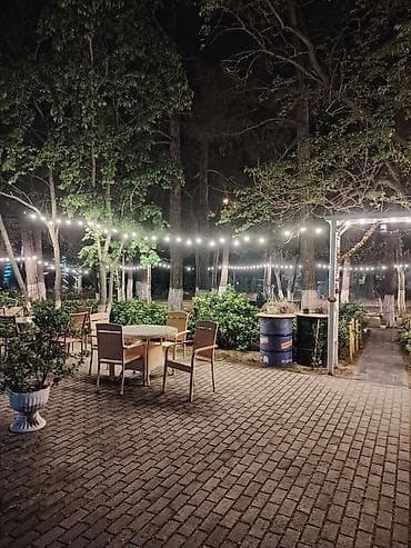 2 yas tortu: Açıq havada yerləşən mobil kafe – Bella Coffee & Drinks Məhsul və — 10