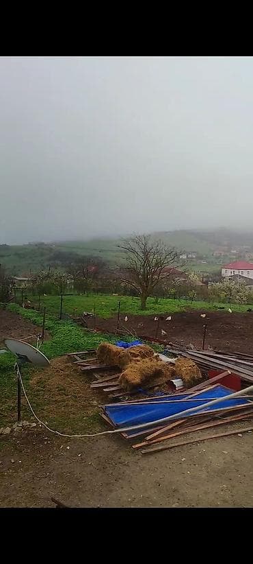 20 sot, Kənd təsərrüfatı