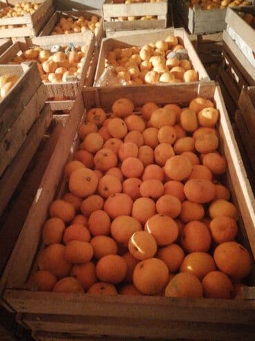 şeki paxlavası: Topdansatış portağal - Taxta yeşiklərdə çeşidlənmiş, iri həcmdə — 6