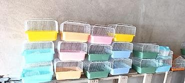 Gəmiricilər: Yeni qəfəs😍 2xomyak ağ və boz🥰 qəfəsin içində Fırlanan çarxı🤩 Su — 3