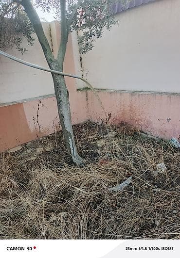 tork baku: Su quyusun bakida qazilmasi xidmet gosterik bine atciliq hovsan turkan — 3