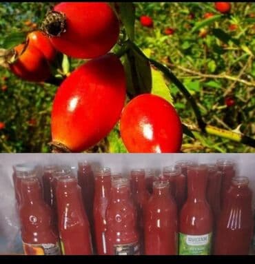 ağ gilas mürəbbəsi: Məhsul: Təbii itburnu (qızılgül meyvəsi) məhlulu/sosu Tərkib və — 1