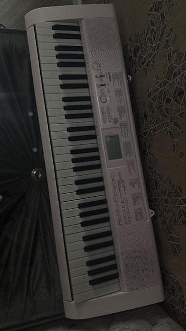 Sintezator, Casio — 2