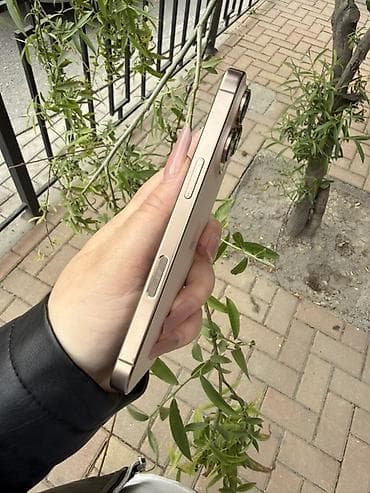x7 pro: IPhone 16 Pro, 256 GB, Desert Titanium, Face ID — 3