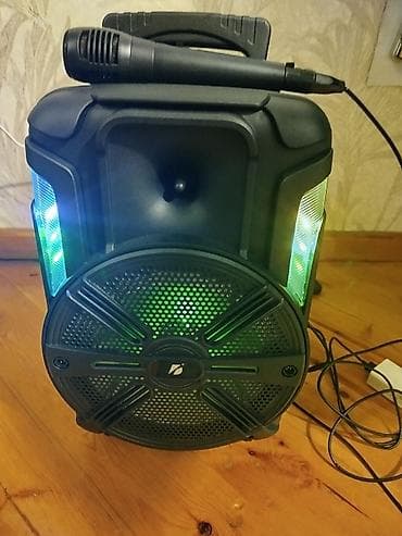 bluetooth kalonka satisi: Daşına bilən Bluetooth akustik sistem + mikrafon - Güclü səsli — 2