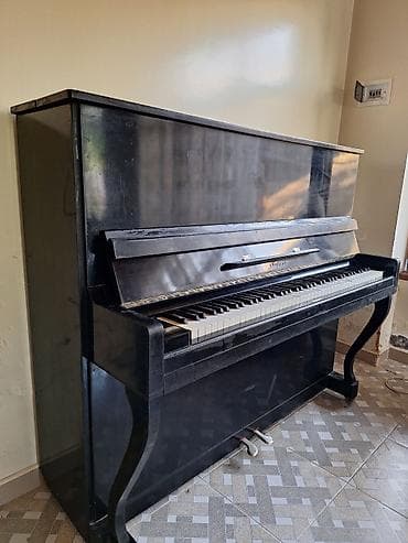 idman və hobbi: Piano, Akustik, İşlənmiş — 3