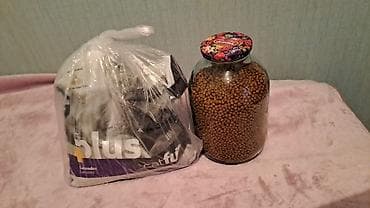 Gəmiricilər: Britan, Erkək, Yaxşı əllərə, Ünvandan götürmə — 4