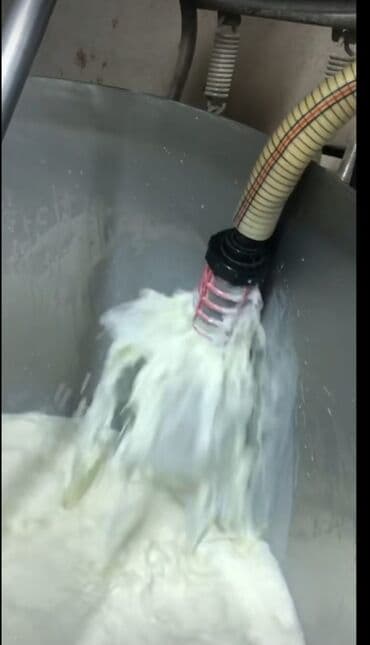 inək südü: Təzə inək südü - Mənbə: Fermadan gündəlik sağım - Tərkib: Tamyağlı — 1