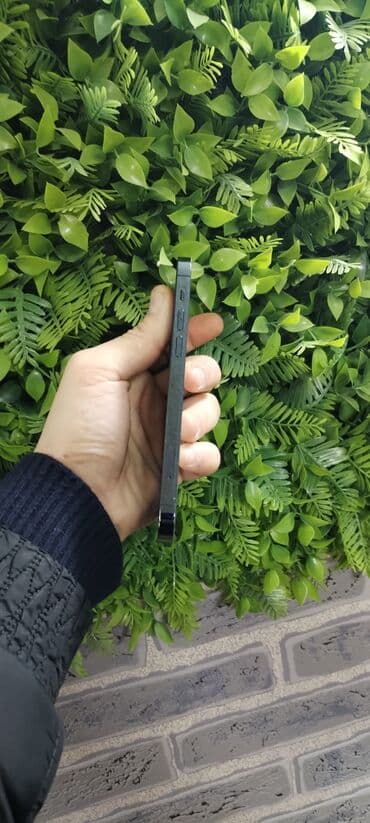 Техника для кухни: IPhone 12 Pro — 3