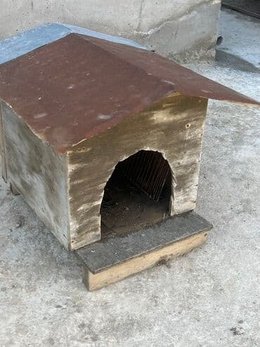 it üçün ip: İt Damı
Real alıcıya endirim var — 2