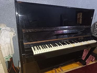 velosiped 28 per page 40: Piano, Belarus, Akustik, İşlənmiş, Ünvandan götürmə — 3