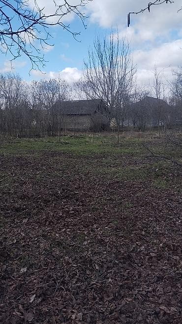 yasil dere torpaq: 10 sot, Tikinti, Maklerlər narahat etməsin, Kupça (Çıxarış) — 4