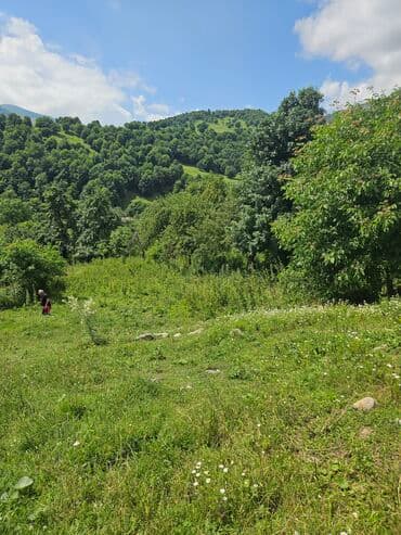 ferma icarəyə verilir: Tikinti — 3