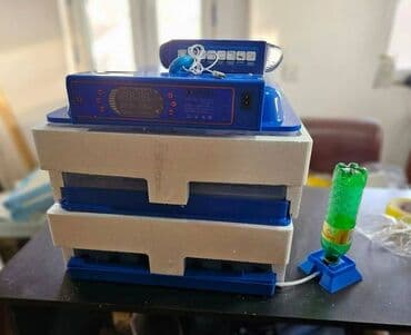 qirqovul satilir: Inkubator inkubatorlarin birinci əl satişi unversal inkubator — 1