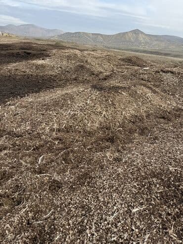pəncərə toru: Təbii Quş gübrəsi - Məhsul: Quş Peyini - İstifadə sahələri: Tərəvəz — 1