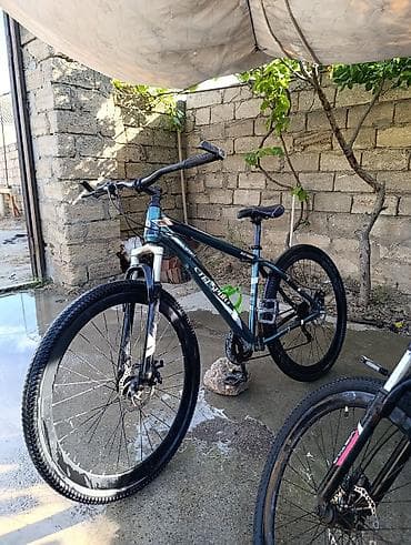 velosiped diskləri: Şəhər velosipedi 29" — 1