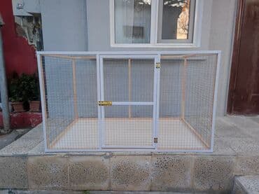 ag dovsan: Papuqay,dovşan,hamster,şinşila,bildirçin,cücə,xamyak,pişik,quş,tısbağa — 1