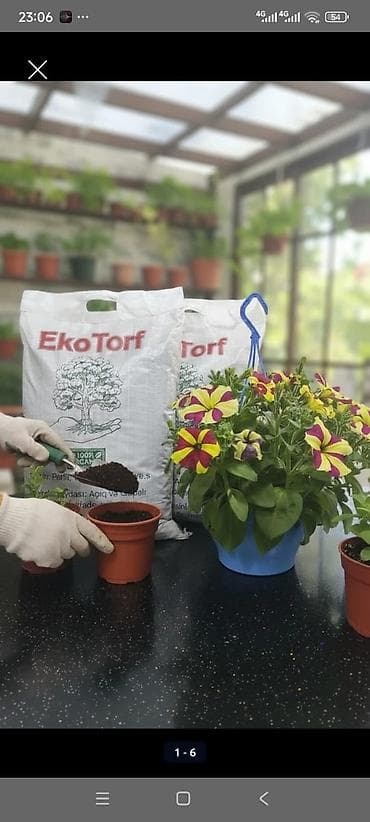 kisi hediyye: Məhsul: “YAŞIL HƏYAT” torf qarışığı – 100% üzvi tərkibli, 20 litrlik — 7