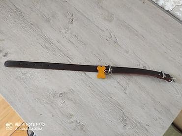 it üçün remen: Endirim edilir Məhsul: İt üçün dəridən yaxalıq. - Material: qalın — 3