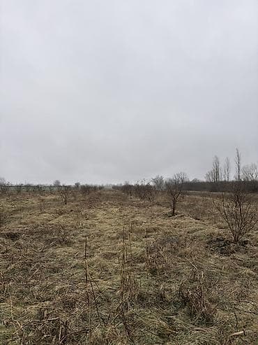 4 mikrorayon kiraye evler: Kənd təsərrüfatı, Kupça (Çıxarış) — 10