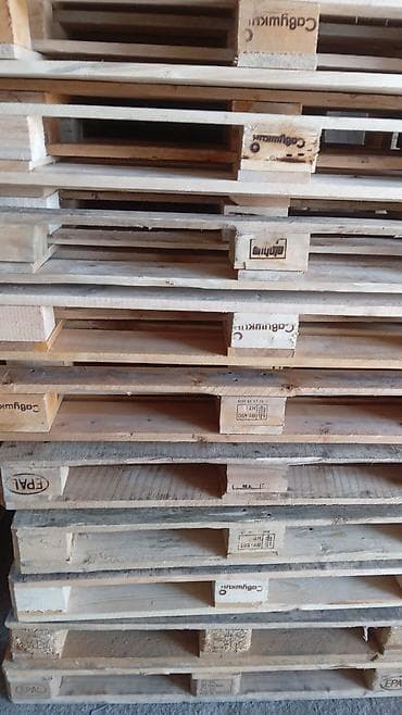 kontakt home 16: Pallet, 800 х 1200 sm — 10