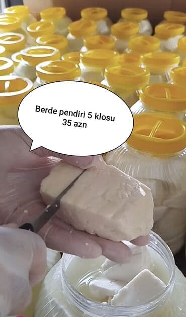 qida məhsullarının topdan satışı: Pendir — 1