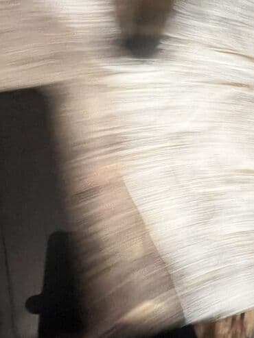 apple iphone 6 plus: IPhone Xs, Qızılı, Simsiz şarj — 3