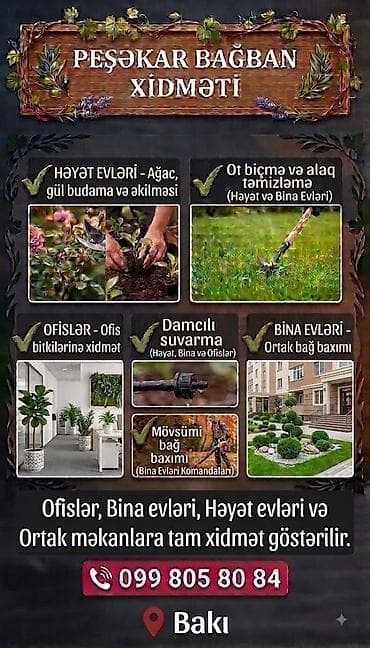 Peşəkar bağban xidməti Təklif olunan işlər: - Həyət evləri üçün ağac lalafo.az -da Peşəkar bağban xidməti Təklif olunan işlər: - Həyət evləri üçün ağac