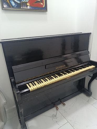Piano, Belarus, Akustik