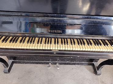Klavişli alətlər: Piano, Akustik — 2