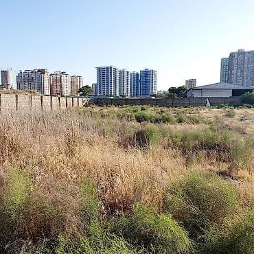 cepis satisi: Biznes üçün, Kupça (Çıxarış) — 6