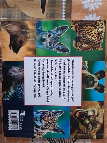 Велоаксессуары: Əyləncəli Ensiklopediya – 1: Yırtıcı Heyvanlar (hazırlayan: Fəhmən — 1