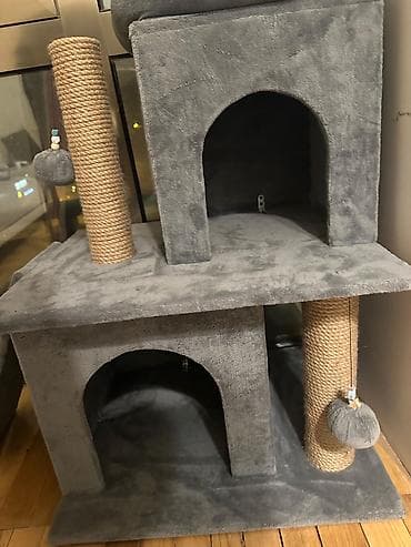 pısık sekıllerı: Pişik üçün çoxfunksiyalı oyun və dincəlmə kompleksi reali alici ile — 5