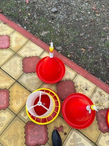 Xaltalar, qayışlar və tasmalar: Yem və su qabları hərəsindən 10 dənənədir. 1 dəfə istifadə olunub — 3