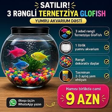 аквариум: Круглый аквариум, Вместе с рыбами, 1 л, Самовывоз, Бесплатная доставка, Платная доставка — 1