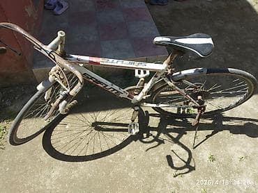 velosiped 3 tekerli: Velosiped – Saifute (sağ-sol çərçivədə “Saifute” yazısı). Şose tipli — 3