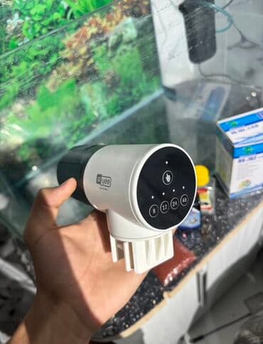 купить аквариум в баку: Salam Akvarium yenidir Şəkildə gördüyünüz aparatları üzərində hədiyə — 2