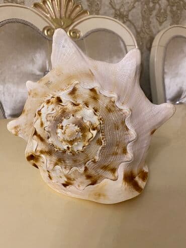 Tebii baliq qulagi boyukdur.Qaradeniz(Krim)