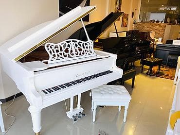 qəpik pullar: Royal Musiqi Alətleri salonu sizlərə geniş çeşiddə, müxtəlif rəng və — 1