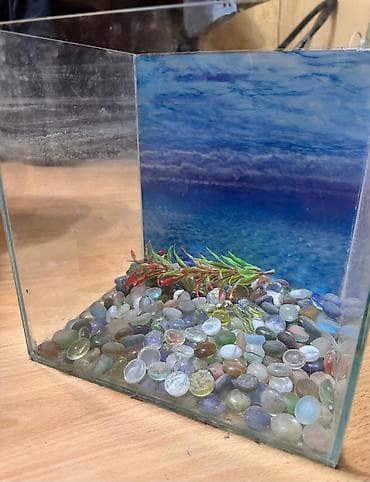 akvarium satilir: Dördbucaq akvarium, 10 l, Ünvandan götürmə, Ödənişli çatdırılma — 1