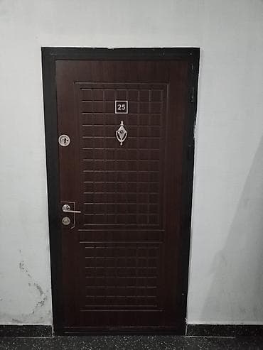 dəmir ağacı: Metall giriş qapısı və metall qutu (kasa) komplekti. Xüsusiyyətlər: - — 3
